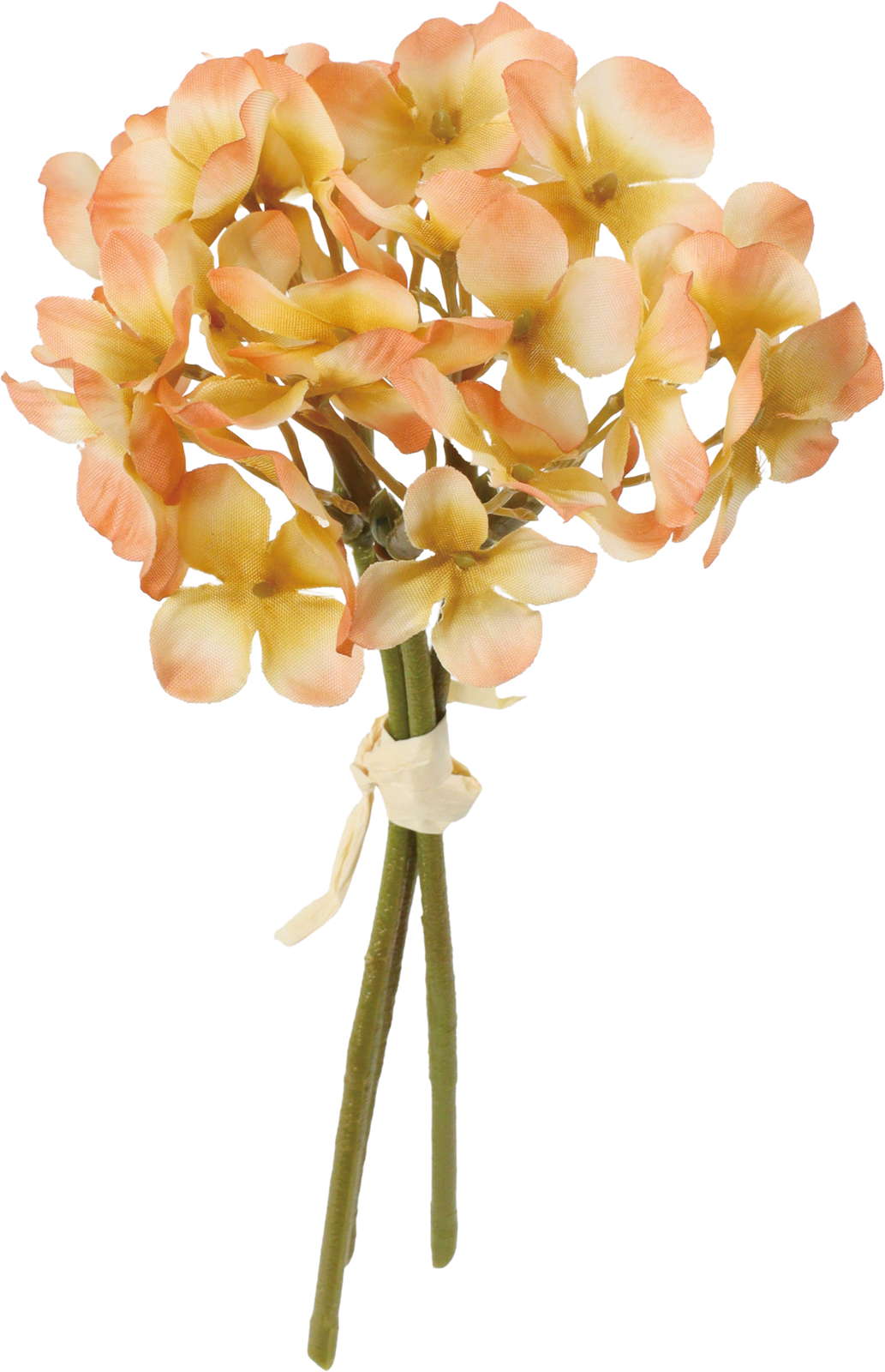 クレールアジサイバンドル