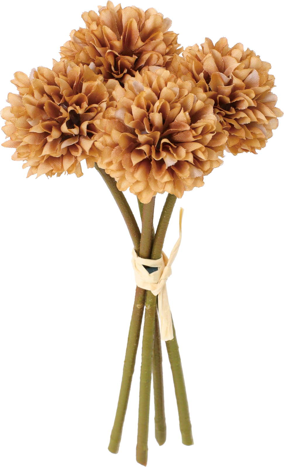 クレールポンポンマムバンドル