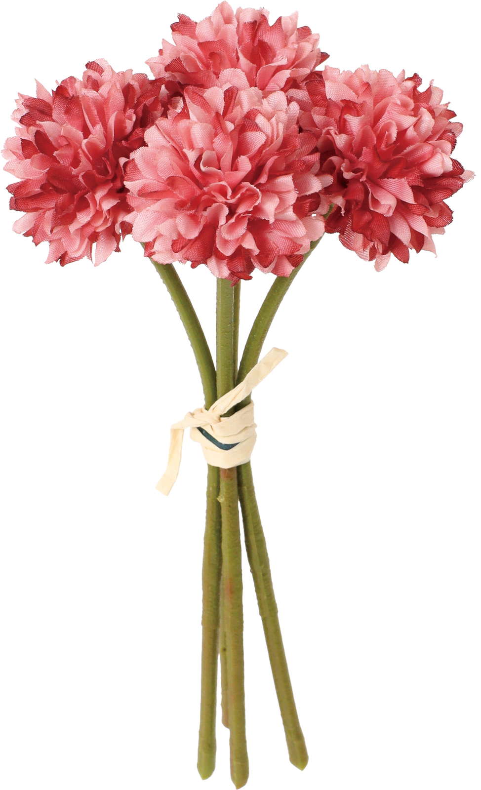 クレールポンポンマムバンドル