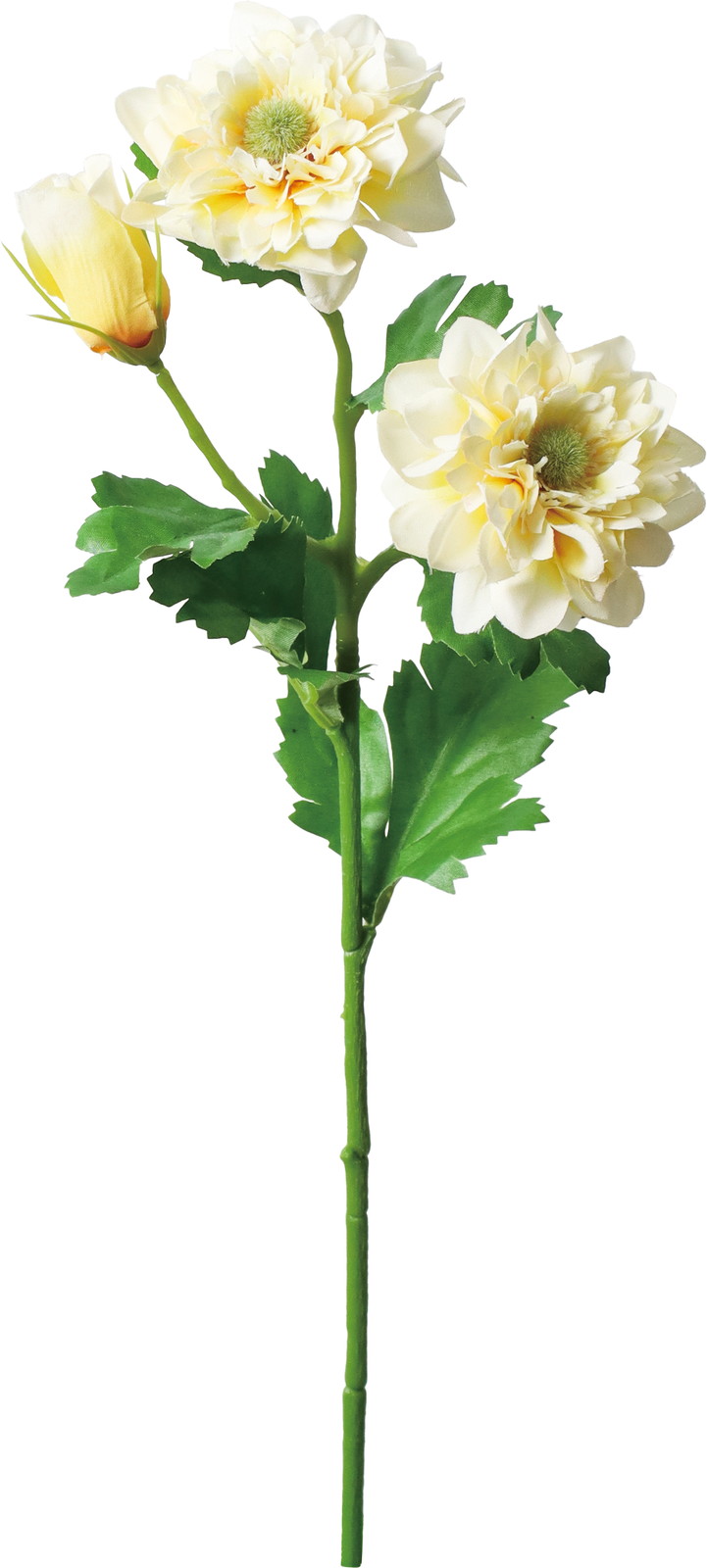 ��̫�ı��Ⱥ��ر