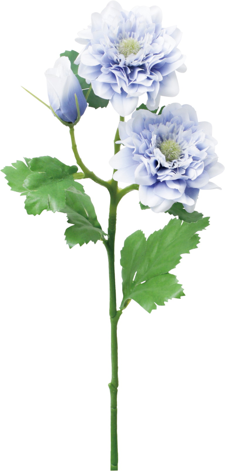 ��̫�ı��Ⱥ��ر