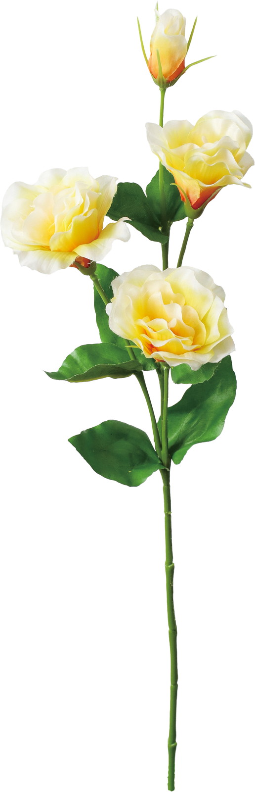 ��̫�����ؼ�ݻ�