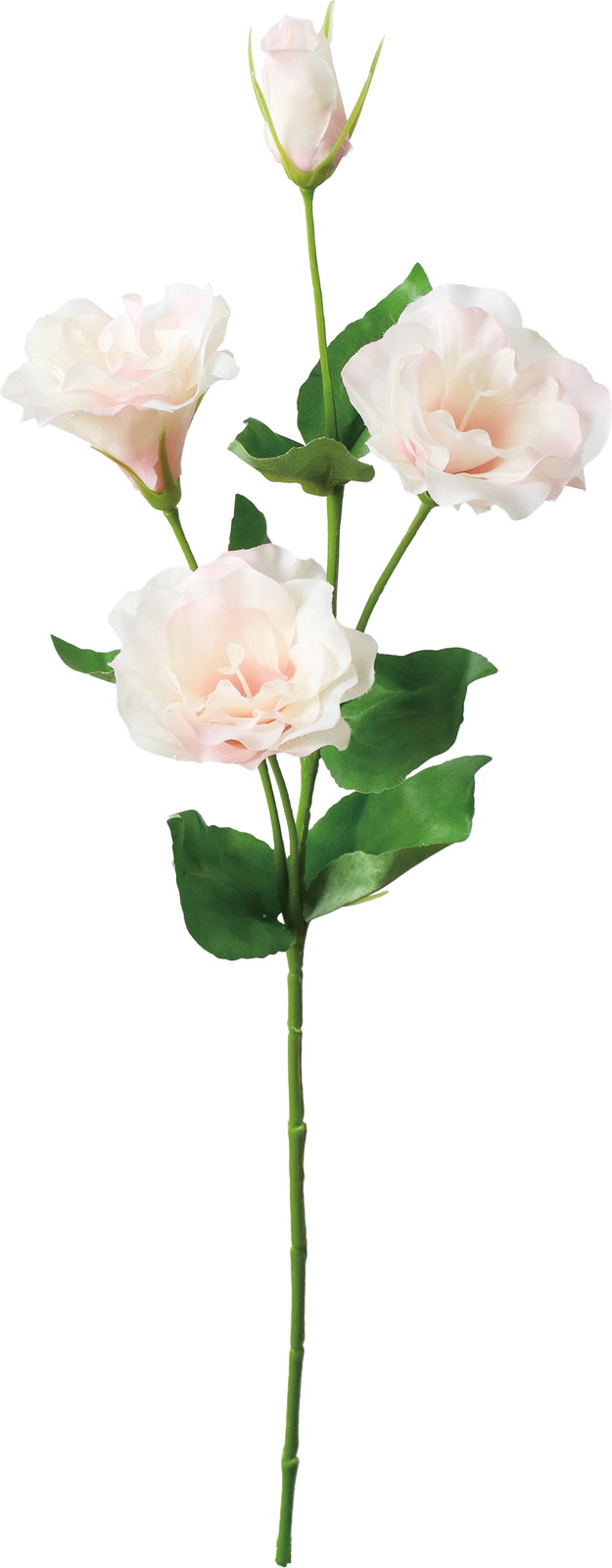 ��̫�����ؼ�ݻ�