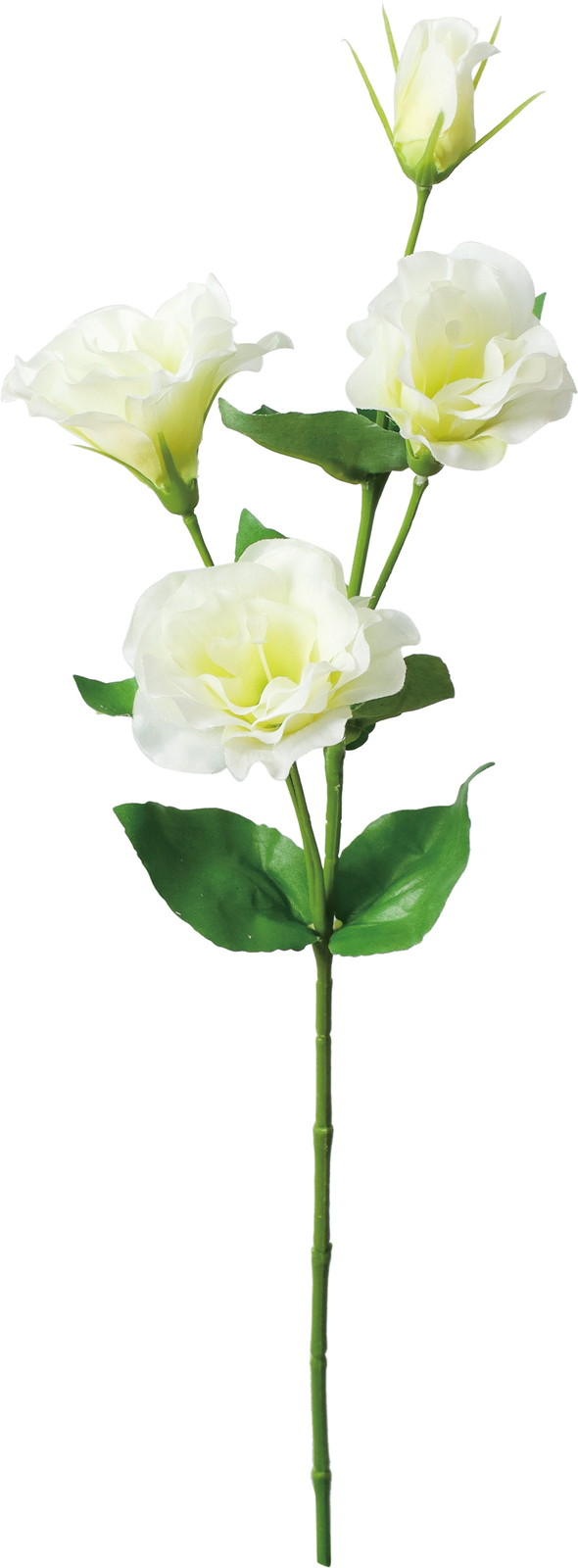 ��̫�����ؼ�ݻ�