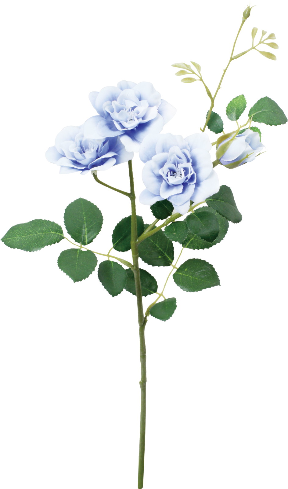 ��̫�Ķް���۰�޽��ڰ