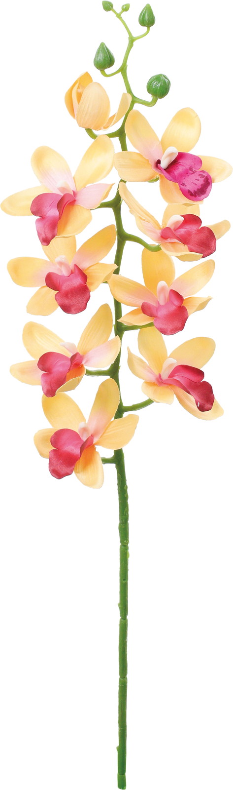 ��̫�ļ��޼ޭ��