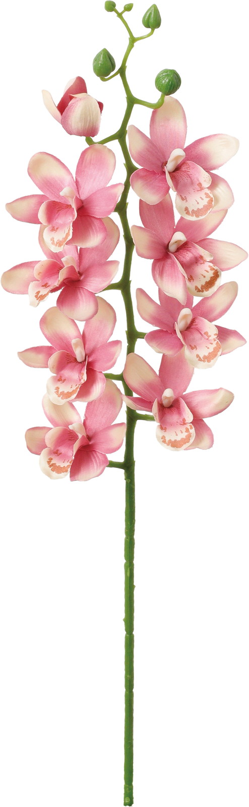 ��̫�ļ��޼ޭ��