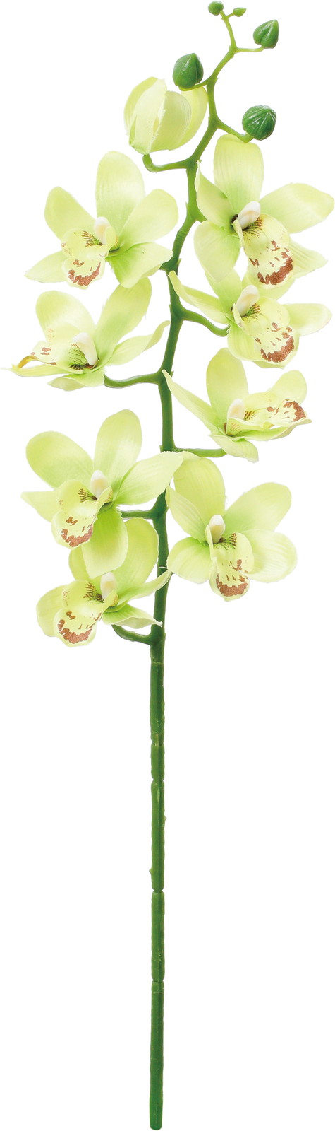 ��̫�ļ��޼ޭ��