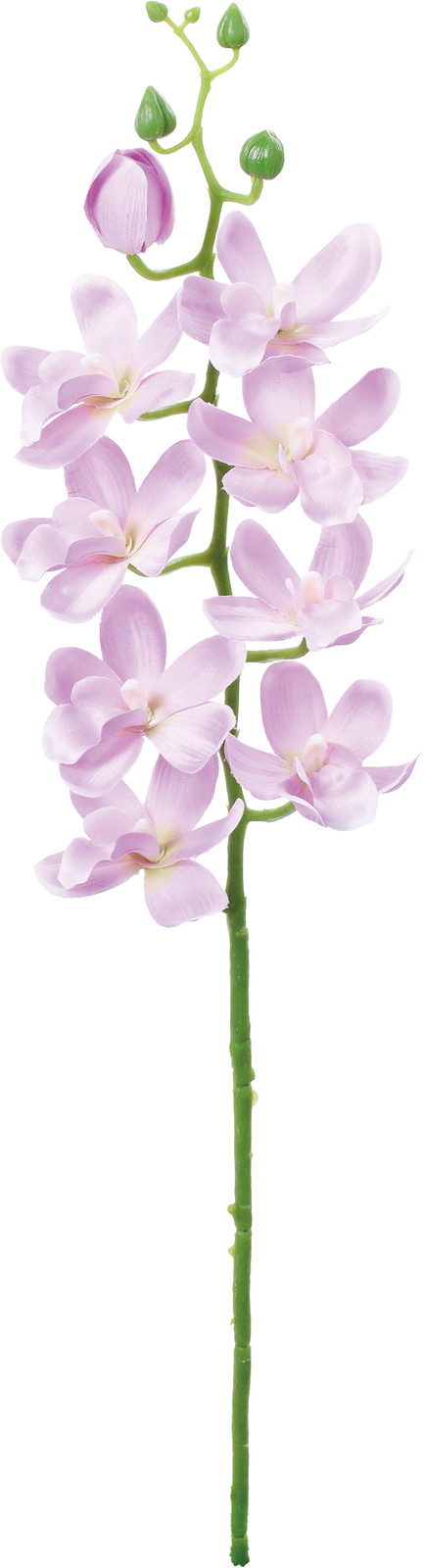 ��̫�ļ��޼ޭ��