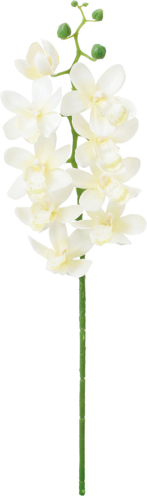 ��̫�ļ��޼ޭ��