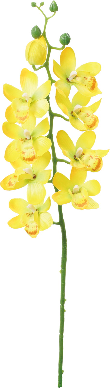 ��̫�ļ��޼ޭ��