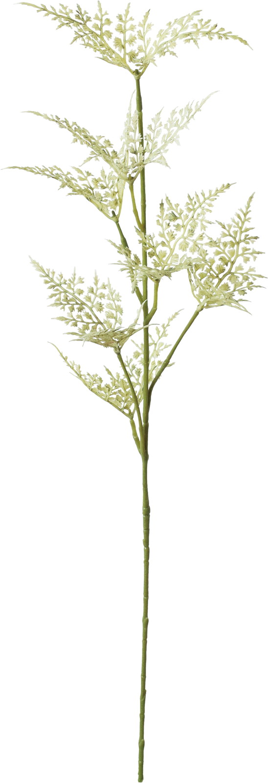 ��̫�ĺް��޸ڽ�