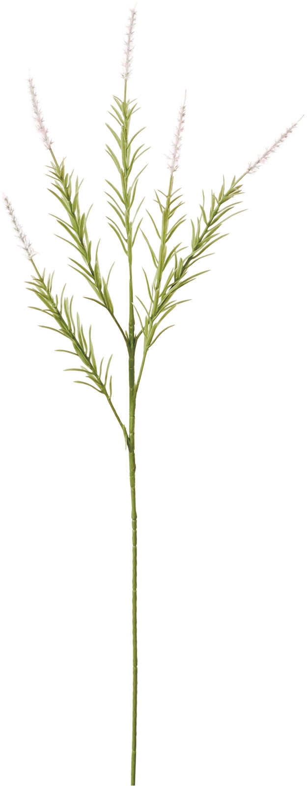 ��̫����ư����߽