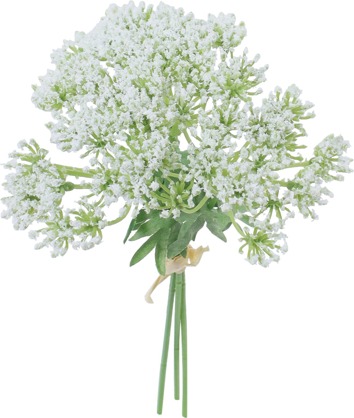 ��̫��ڰ���ܰ������