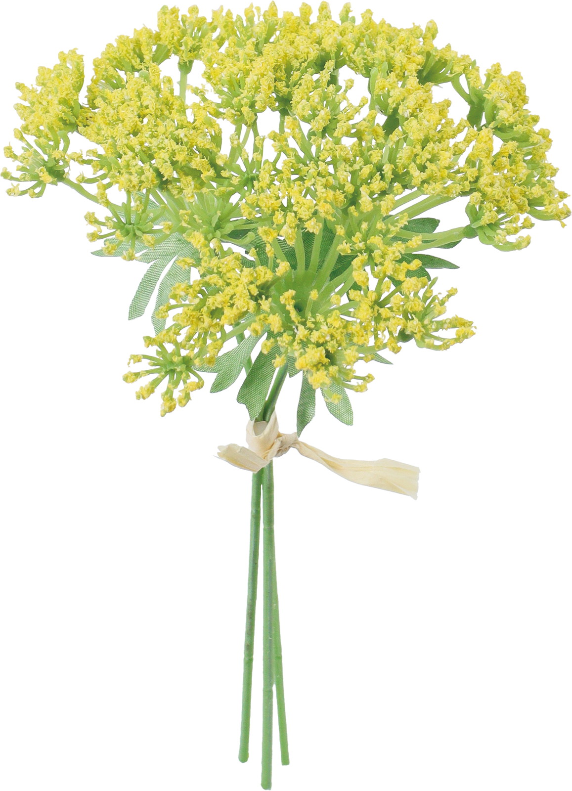 ��̫��ڰ���ܰ������