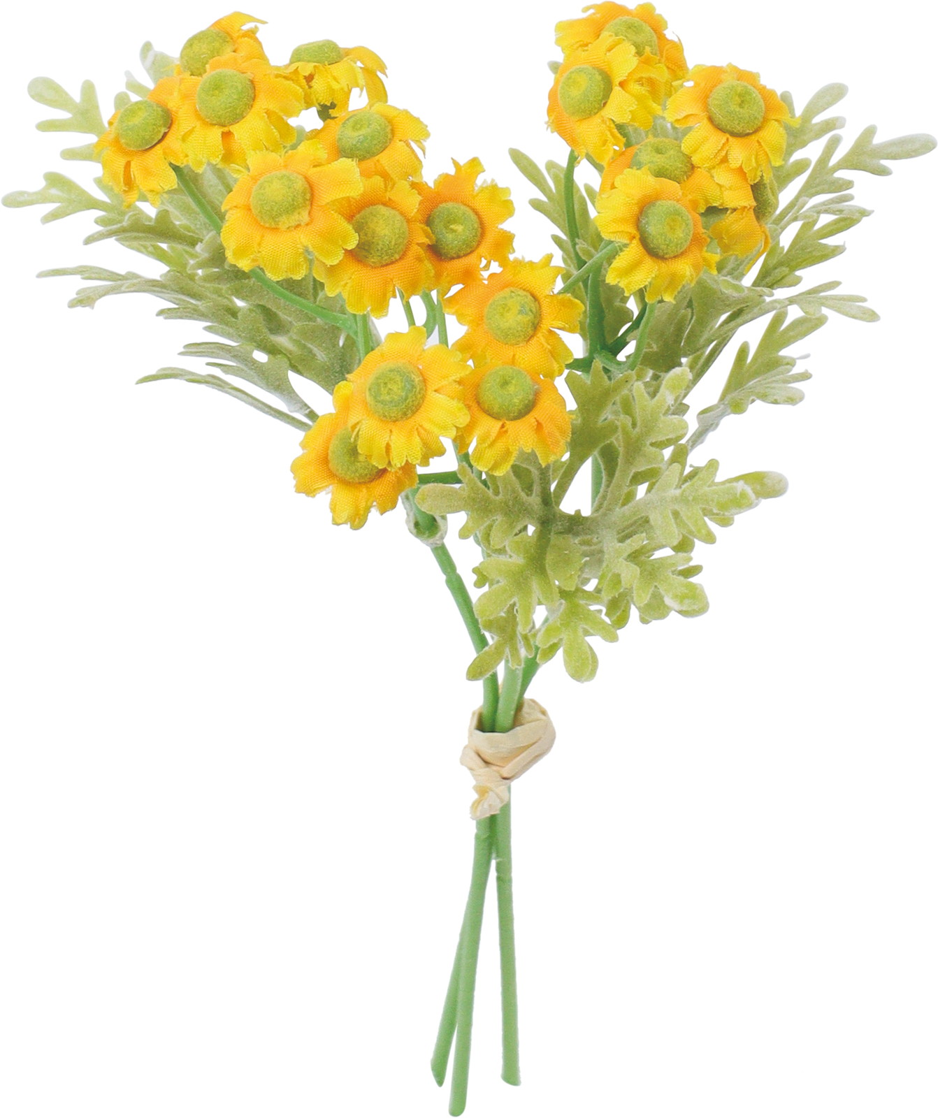 ��̫����ضر������