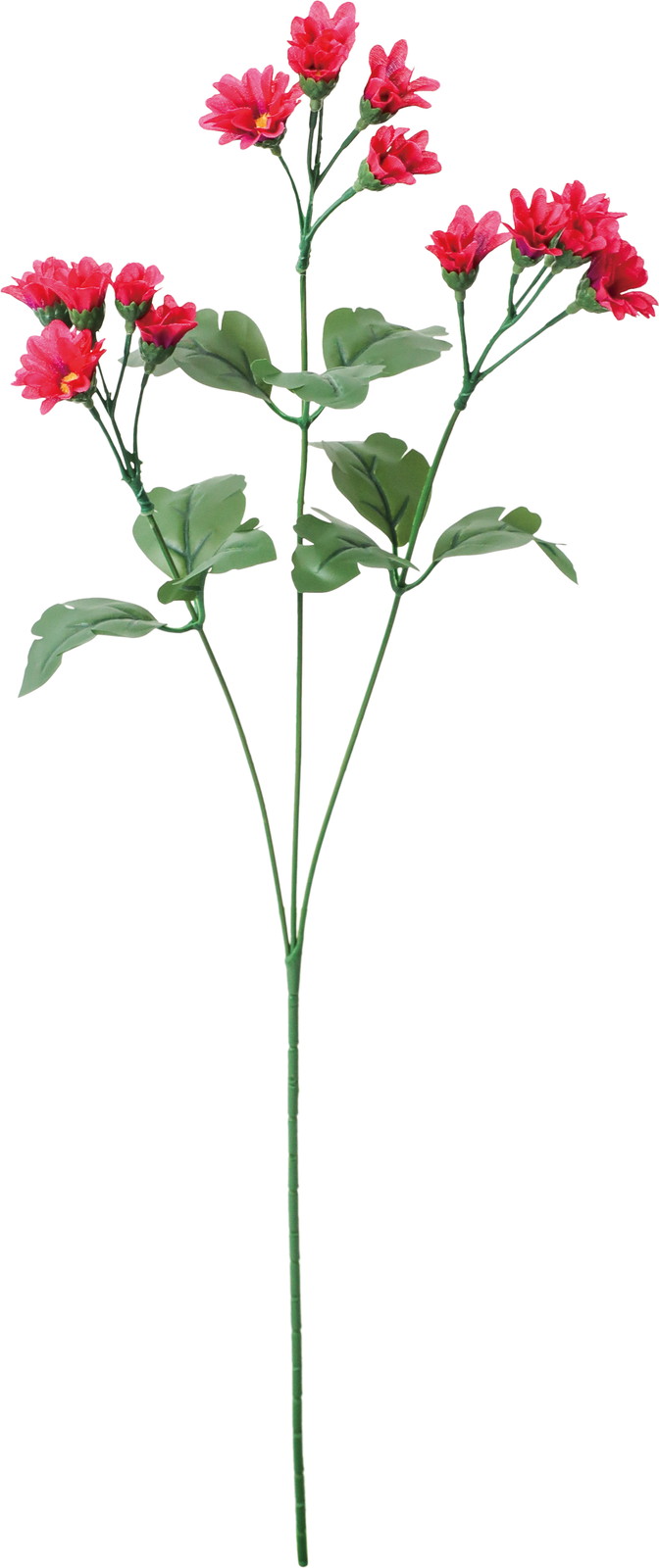 ��޸����-