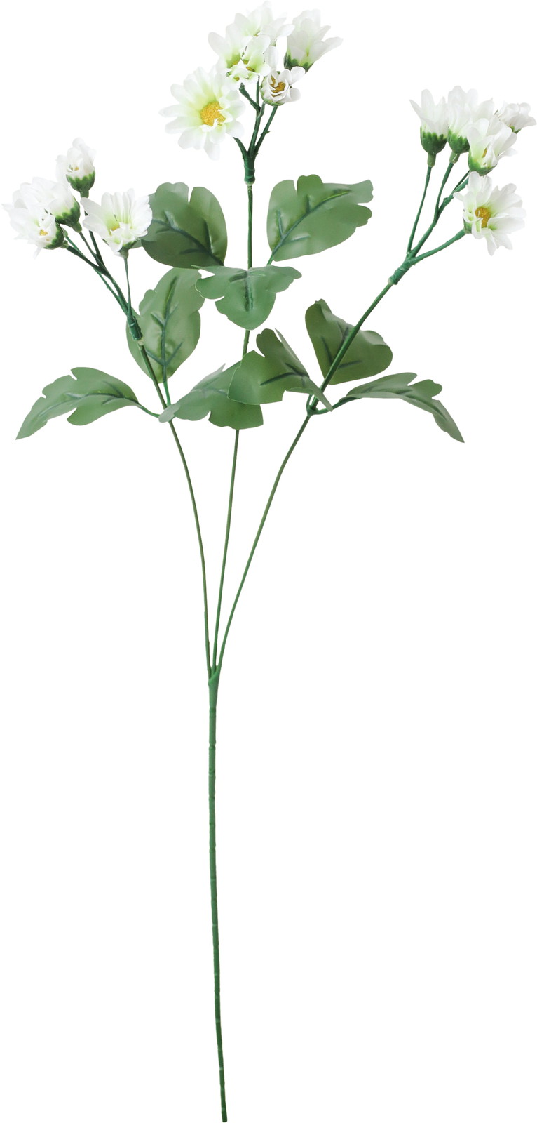 ��޸����-