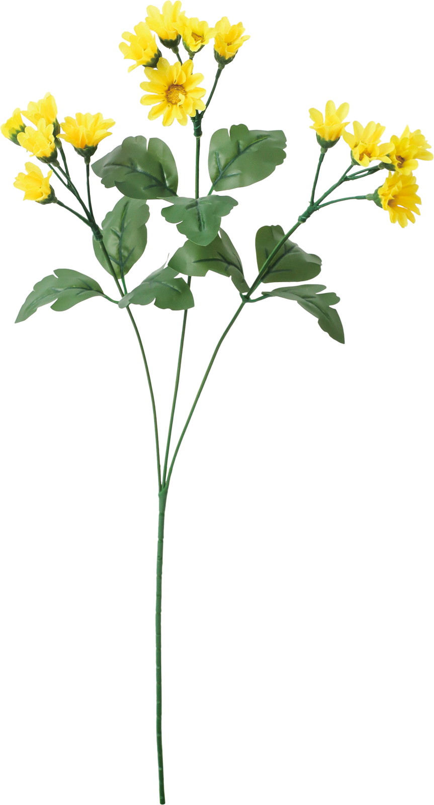 ��޸����-