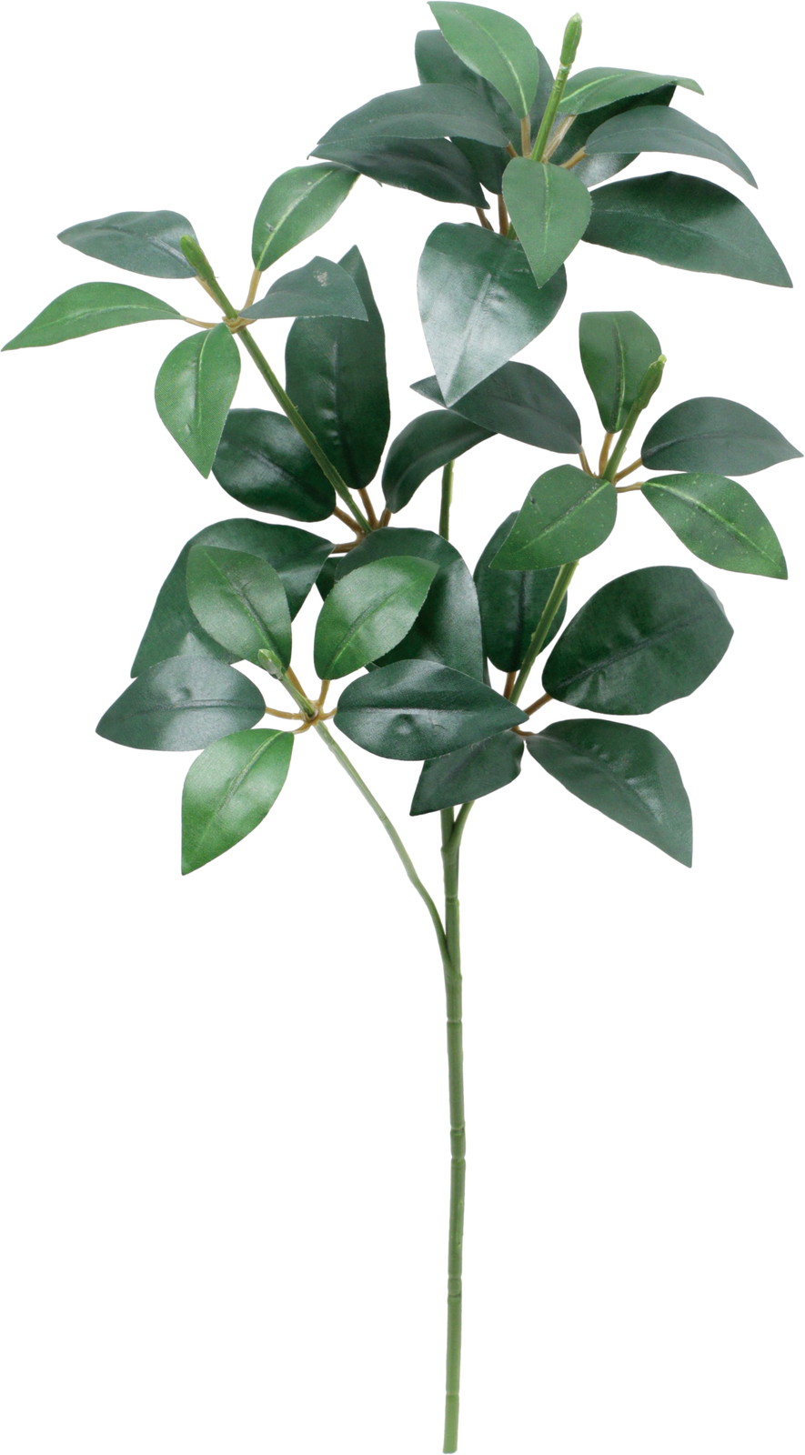 元上代¥220 シキビ*4