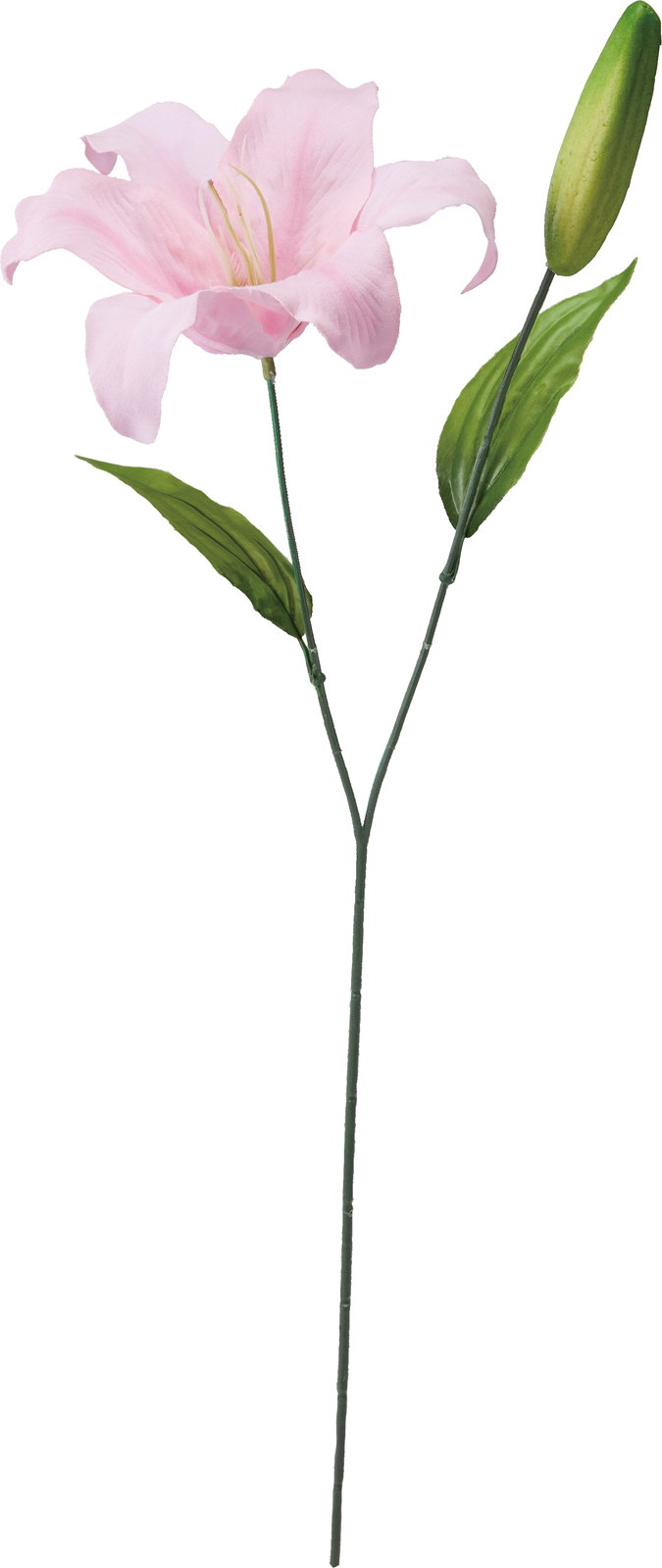 シングルカサブランカ