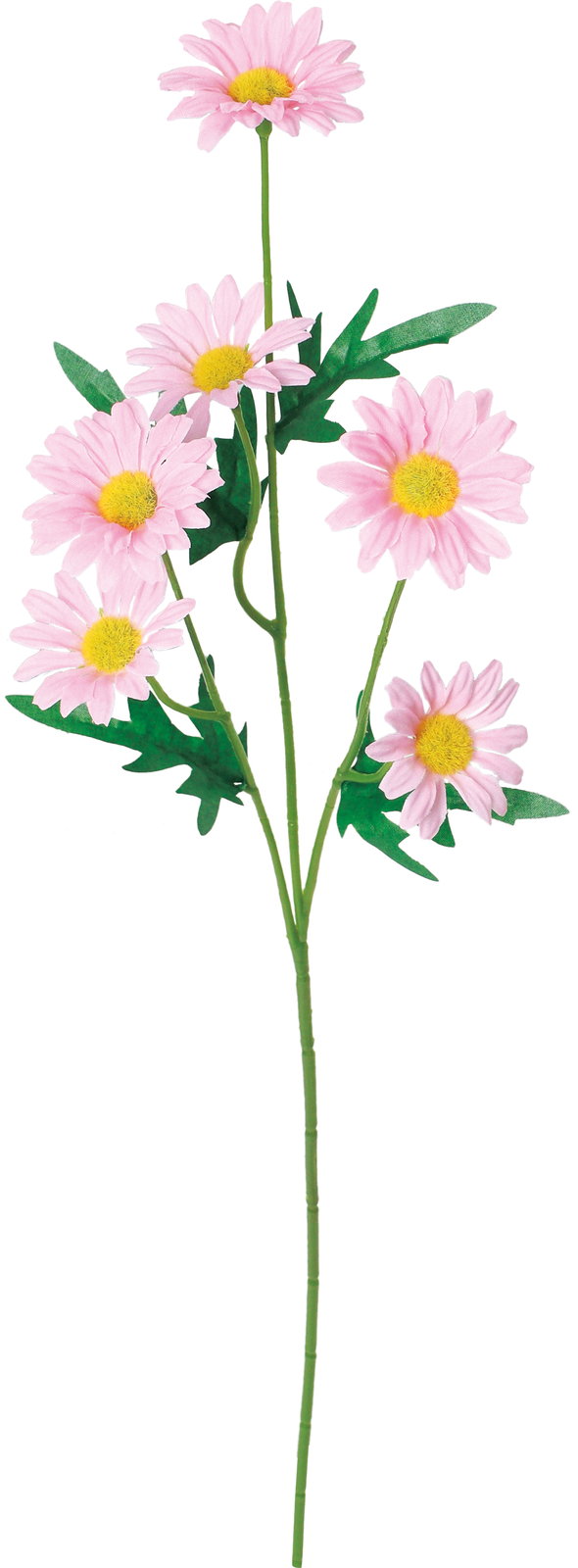 �޲�ް���ڰ