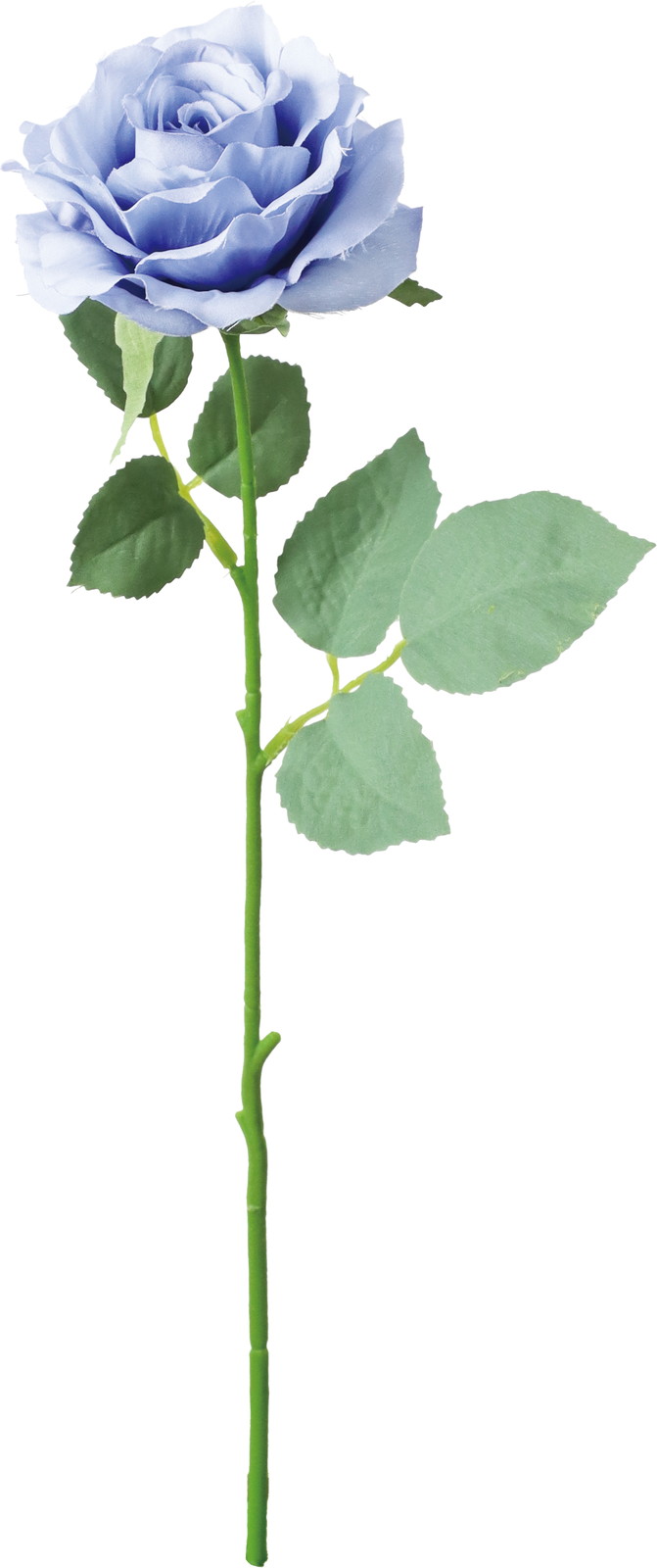 ������۰��