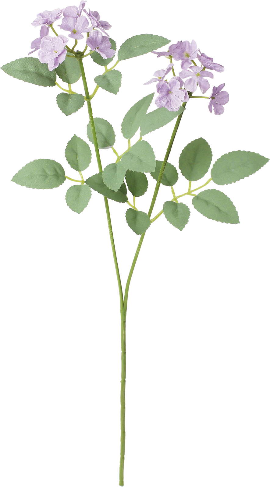 シャルマントポンポンローズスプレー