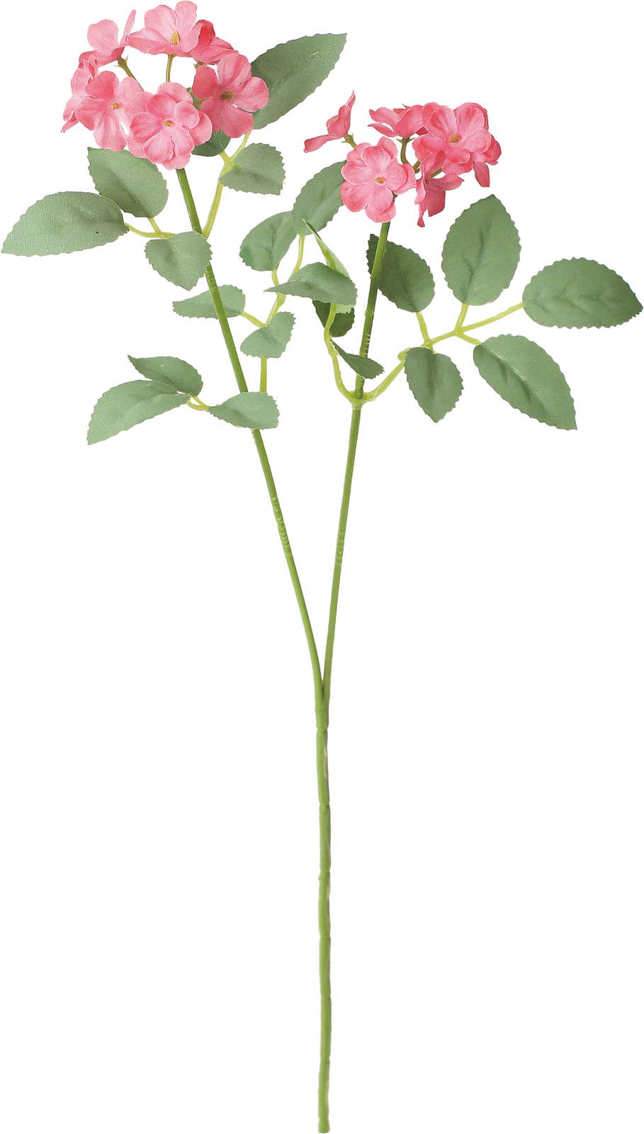 シャルマントポンポンローズスプレー