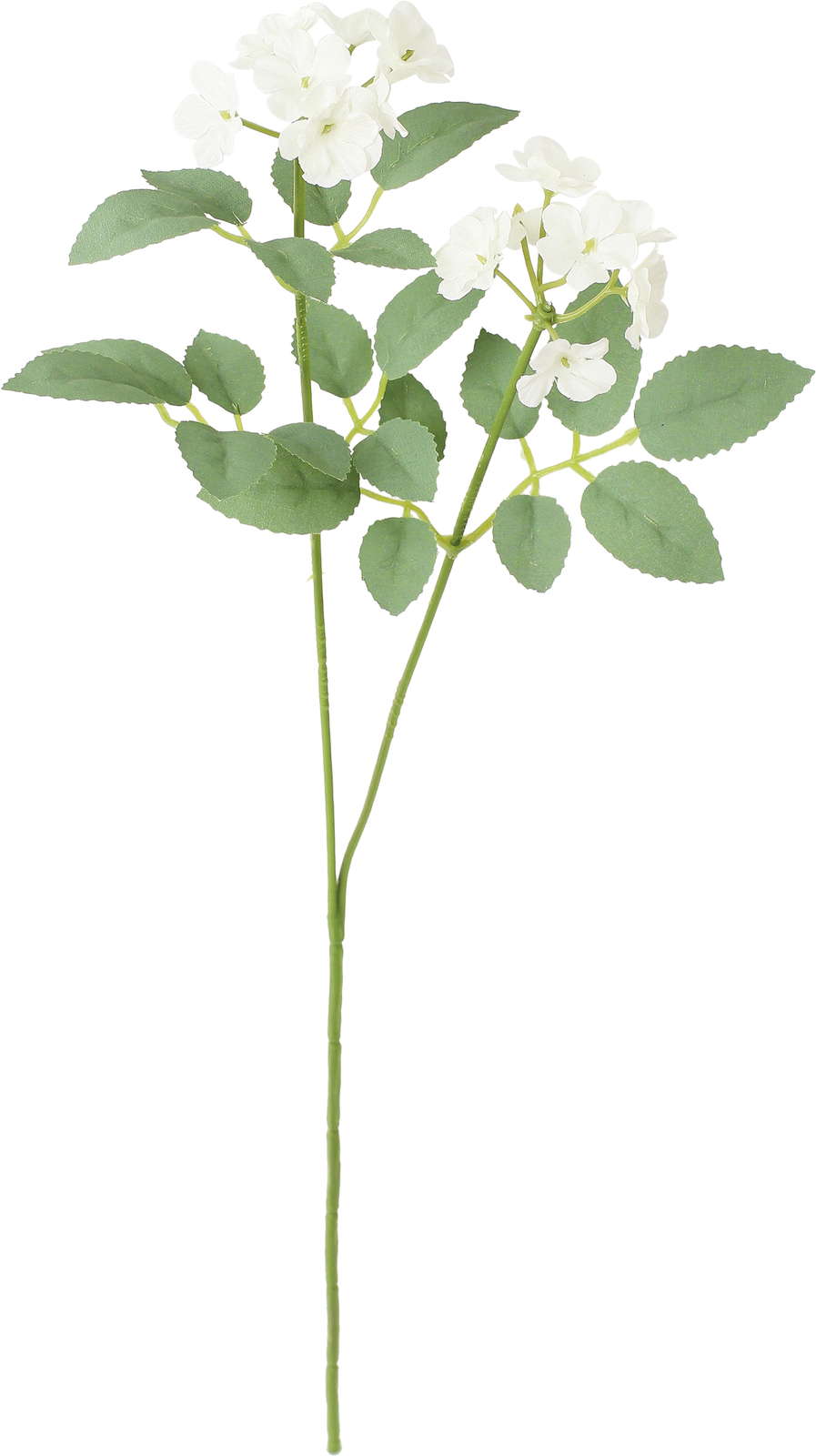 シャルマントポンポンローズスプレー