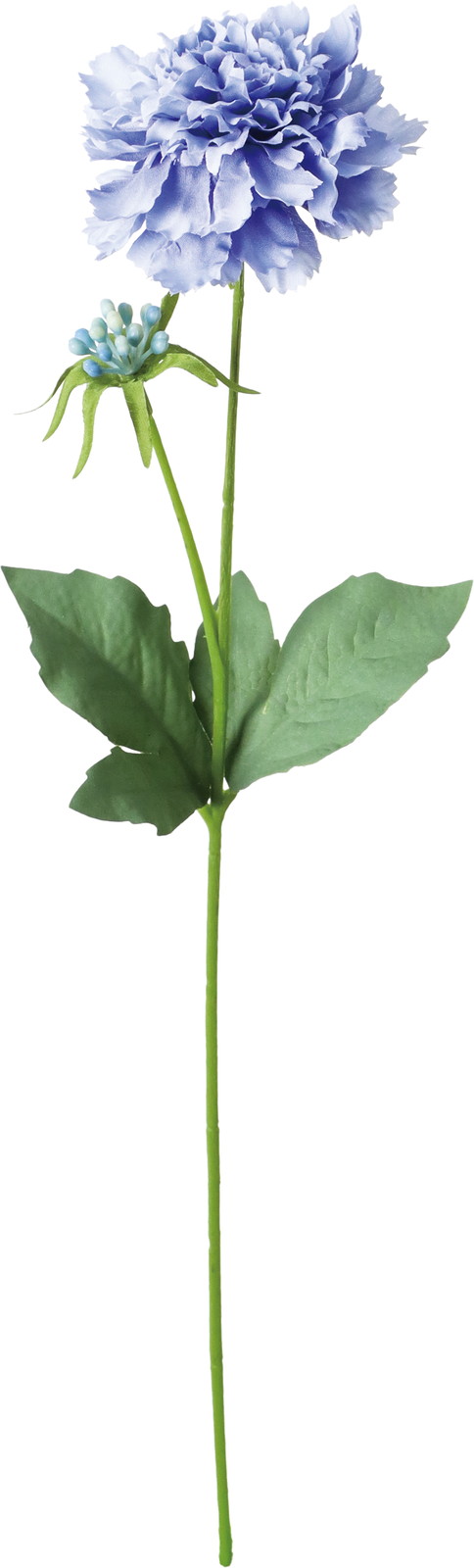 �����Ľ��޵�