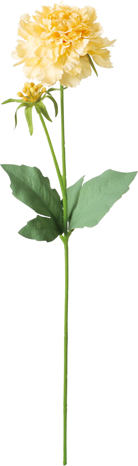 �����Ľ��޵�