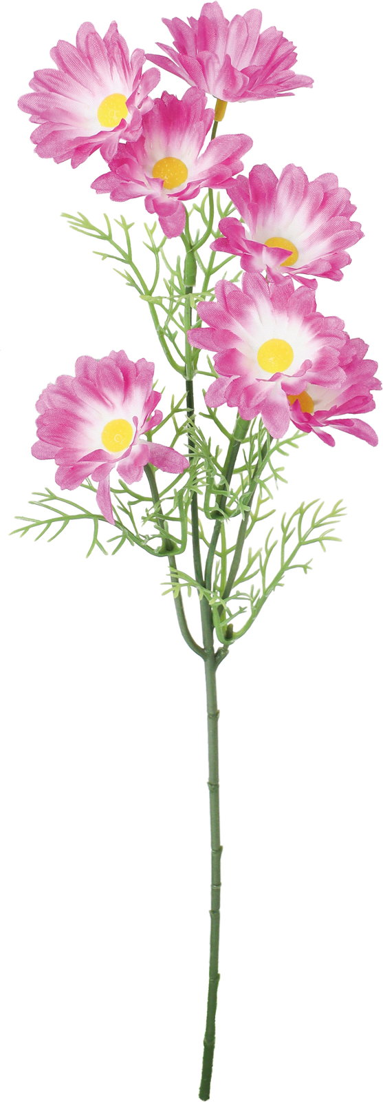 �ް�ް���ڰ