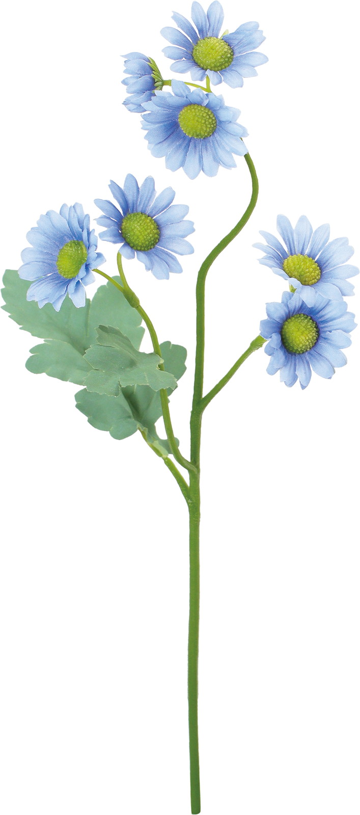 �������ް�ް���ڰ