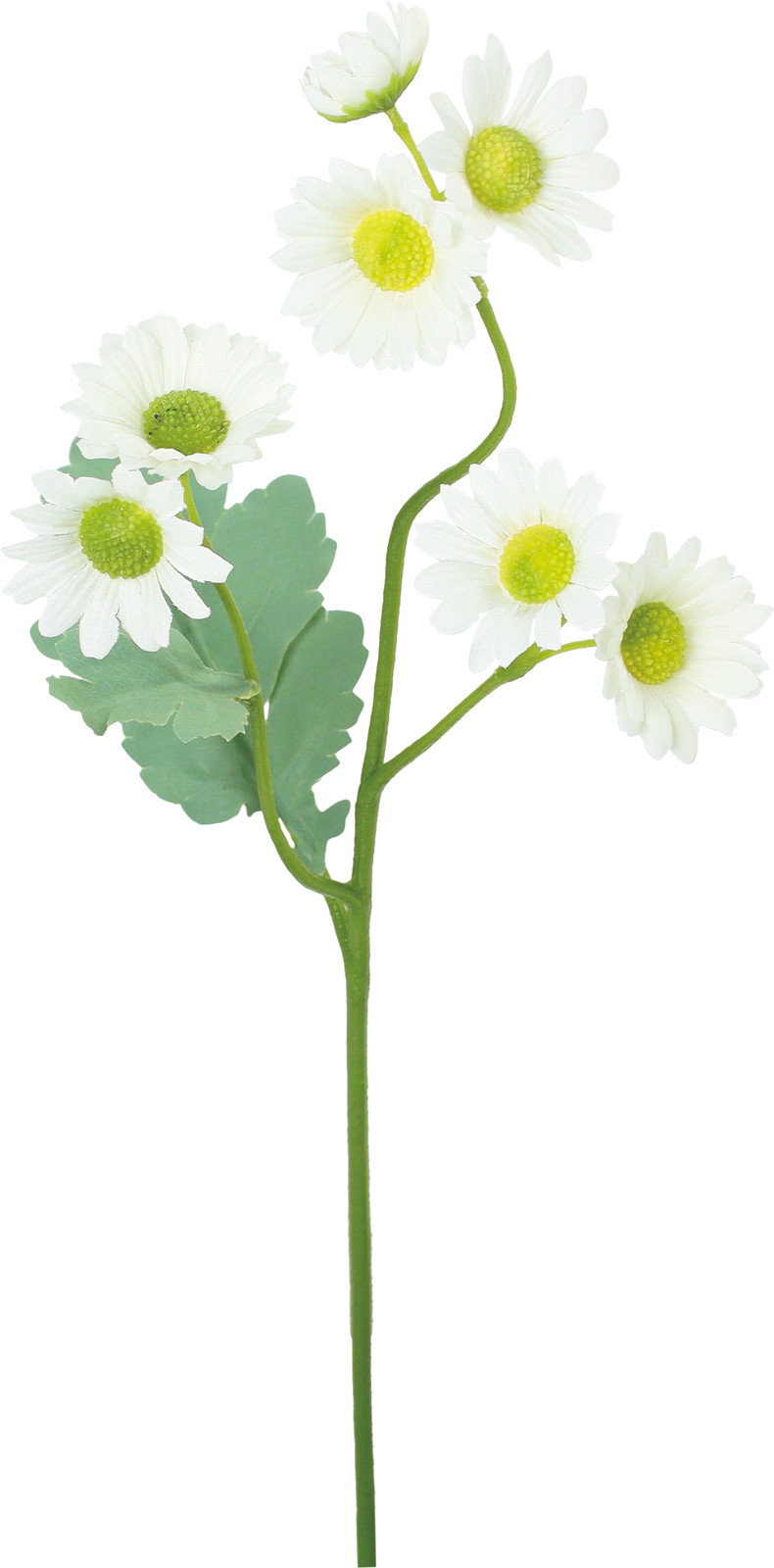 �������ް�ް���ڰ