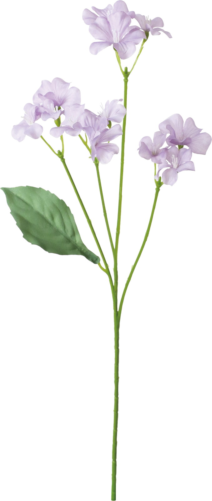 ������ܲ������̨