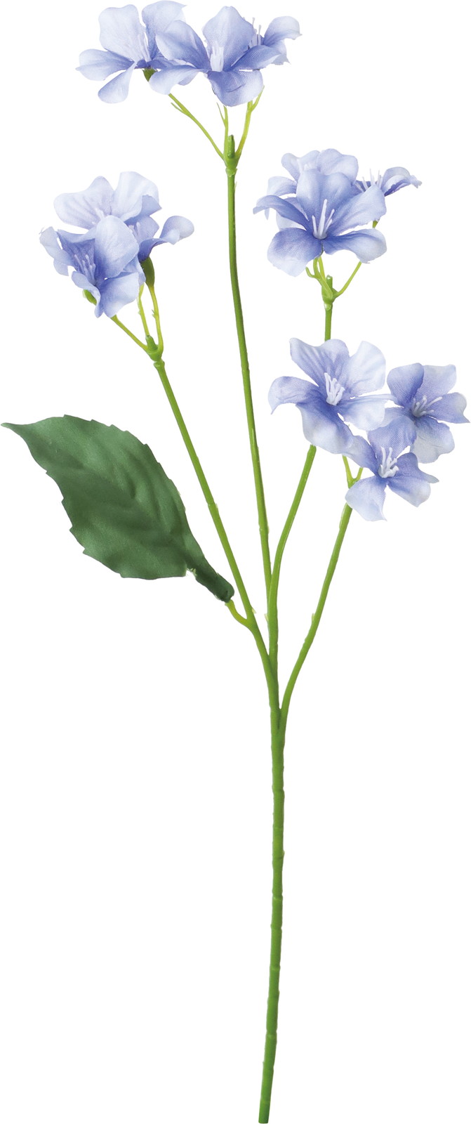 ������ܲ������̨