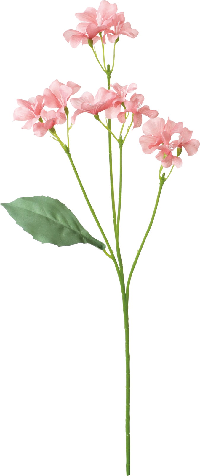 ������ܲ������̨