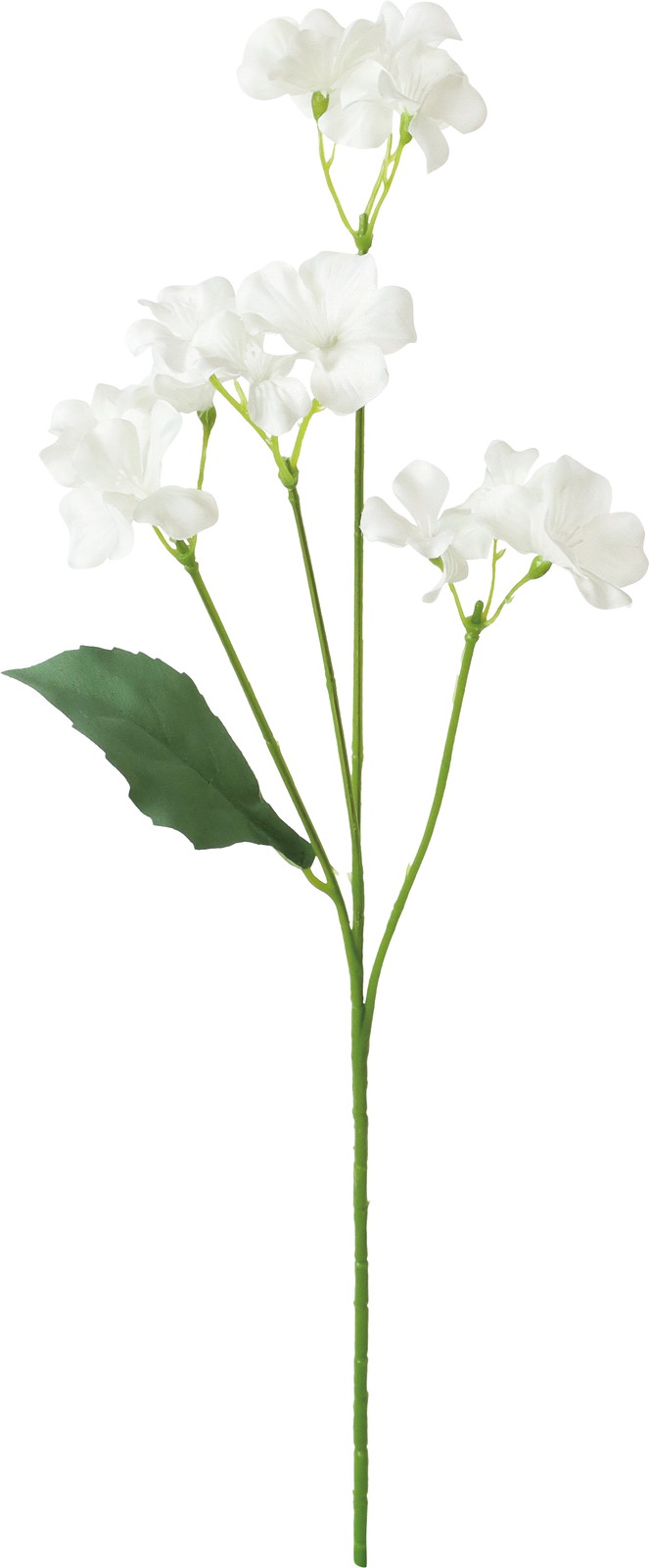 ������ܲ������̨