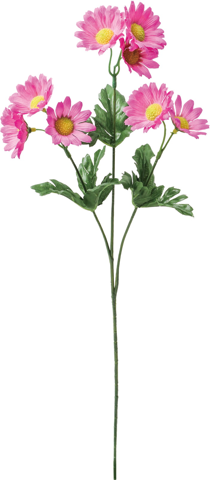 デージースプレー