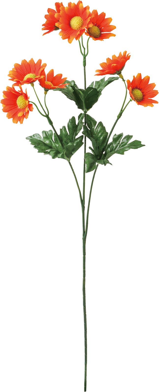 �ް�ް���ڰ