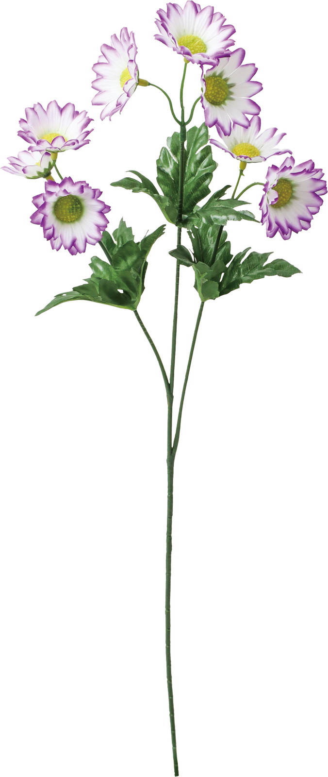 �ް�ް���ڰ