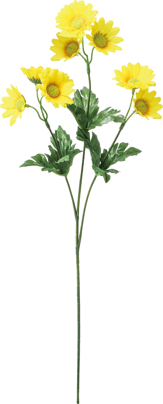 �ް�ް���ڰ