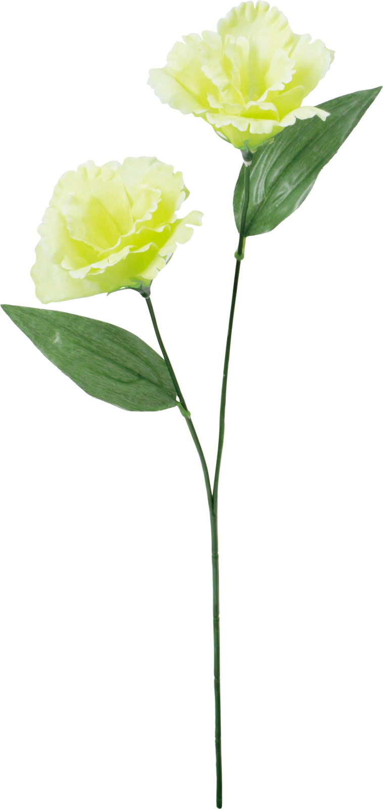 ����く180 �ٺ����