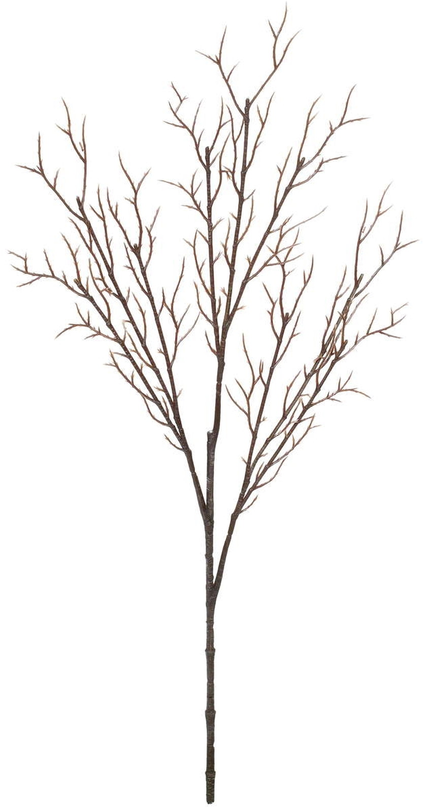 �װ���������