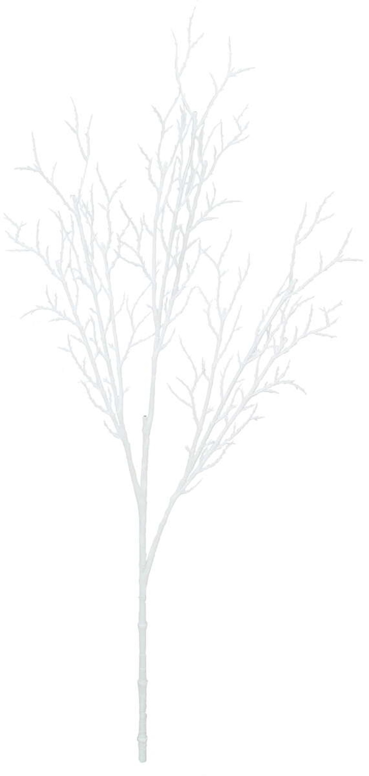 �װ���������