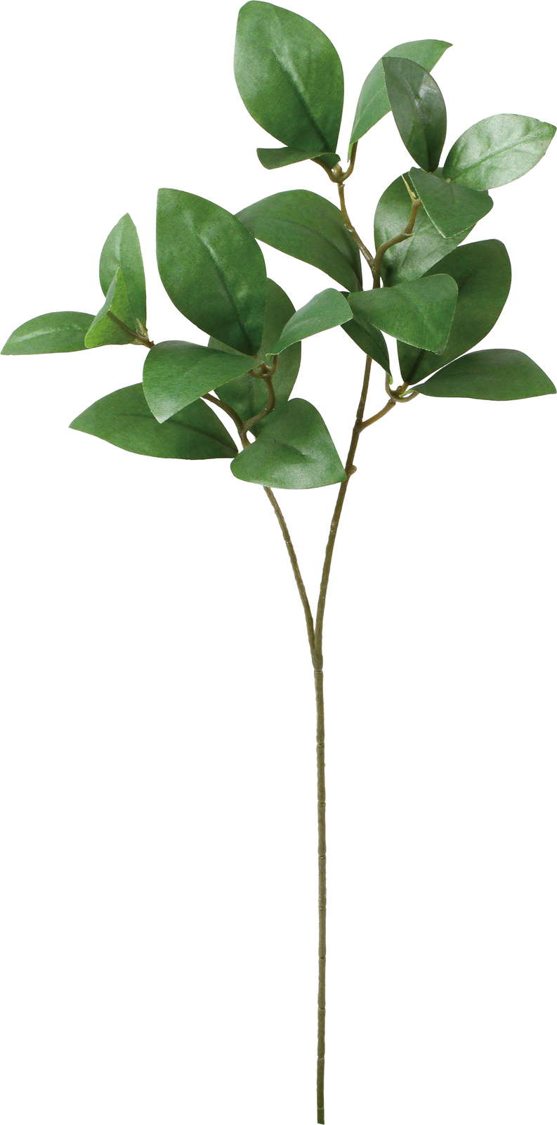 ノーブルリーフスプレー