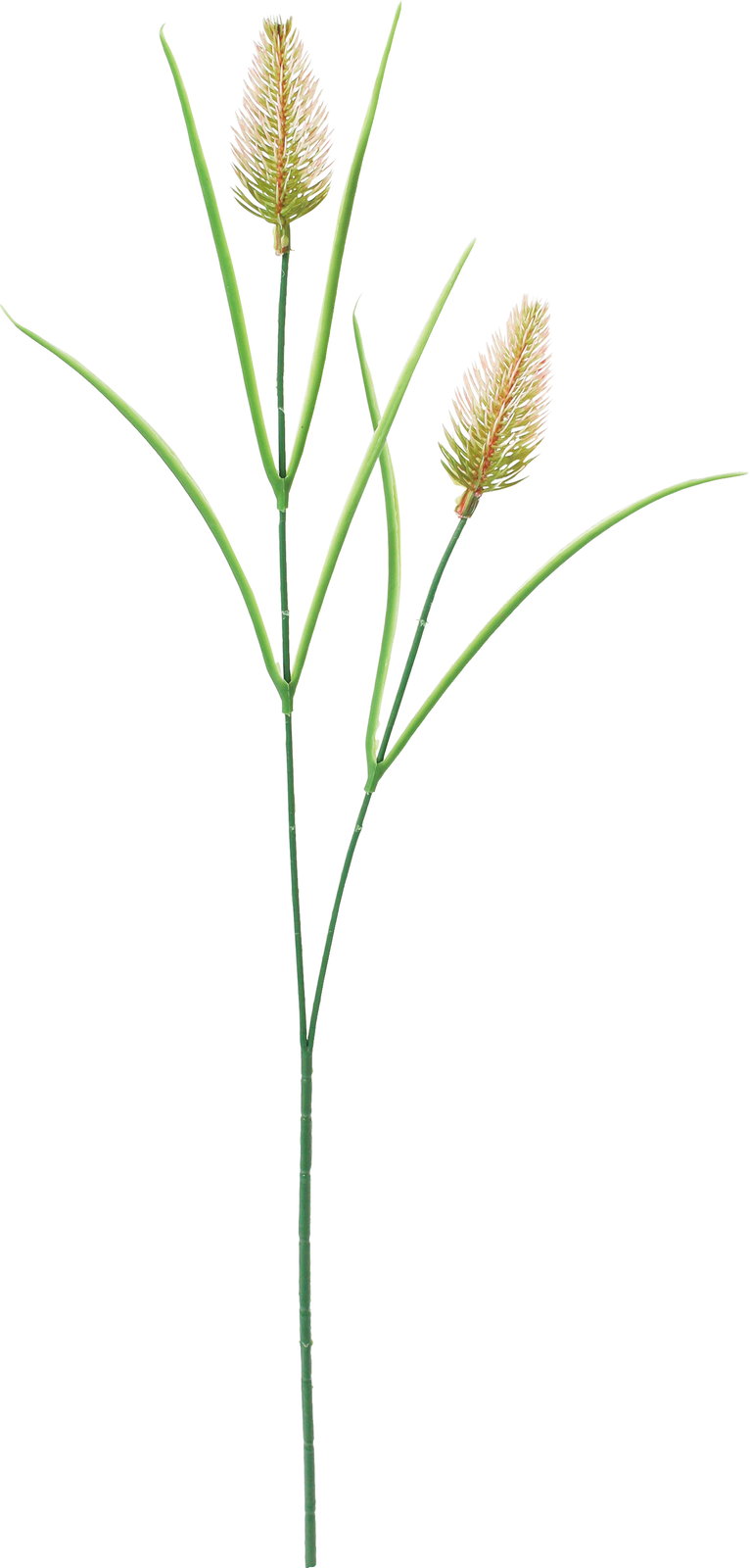 ウィートスプレー*2