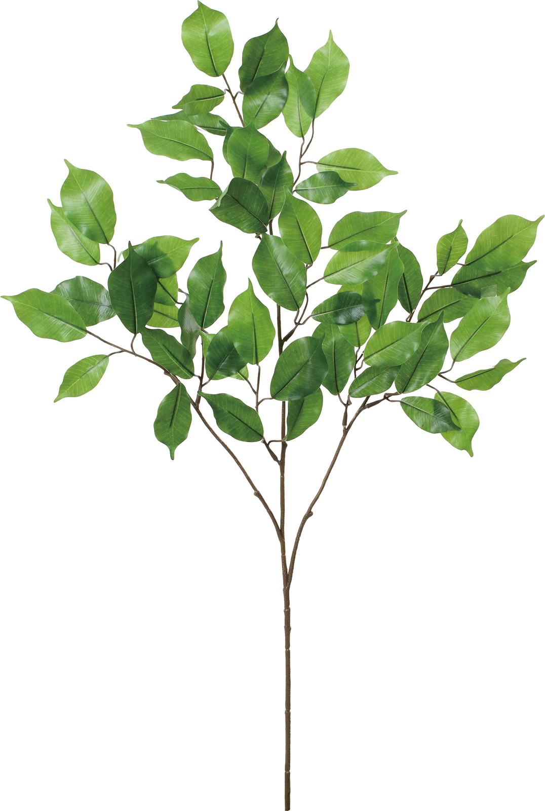 UVػ�����ݼެ�ݽ��ڰ