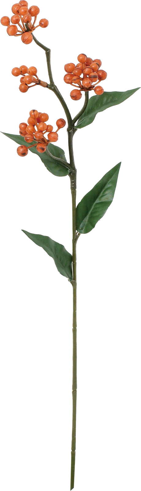 ノーブルベリースプレー